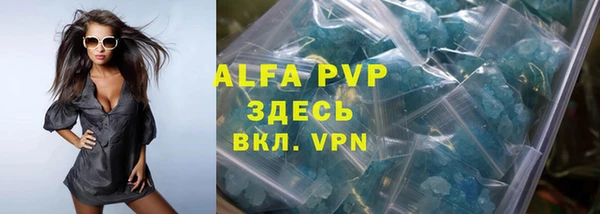 индика Алзамай