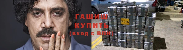 индика Алзамай
