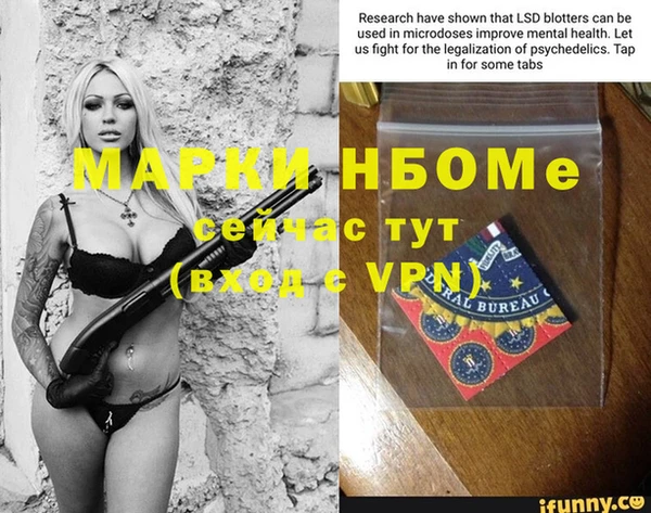 индика Алзамай