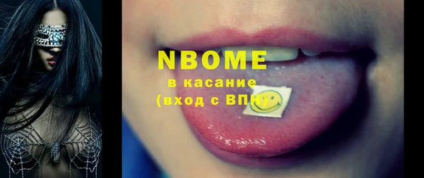 индика Алзамай