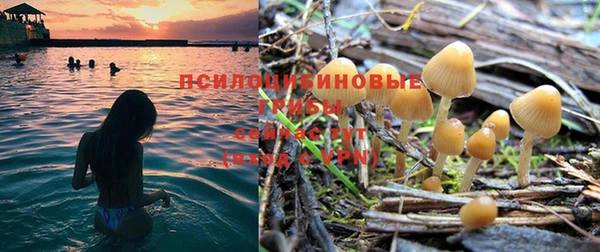 индика Алзамай