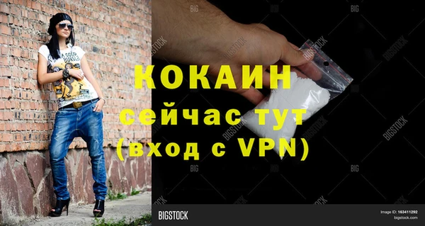 индика Алзамай